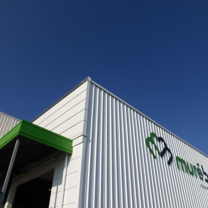 projets professionnels